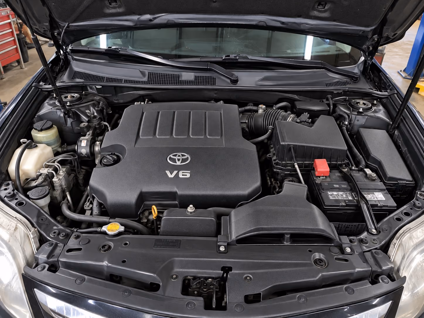 A cleaned and dressed engine bay